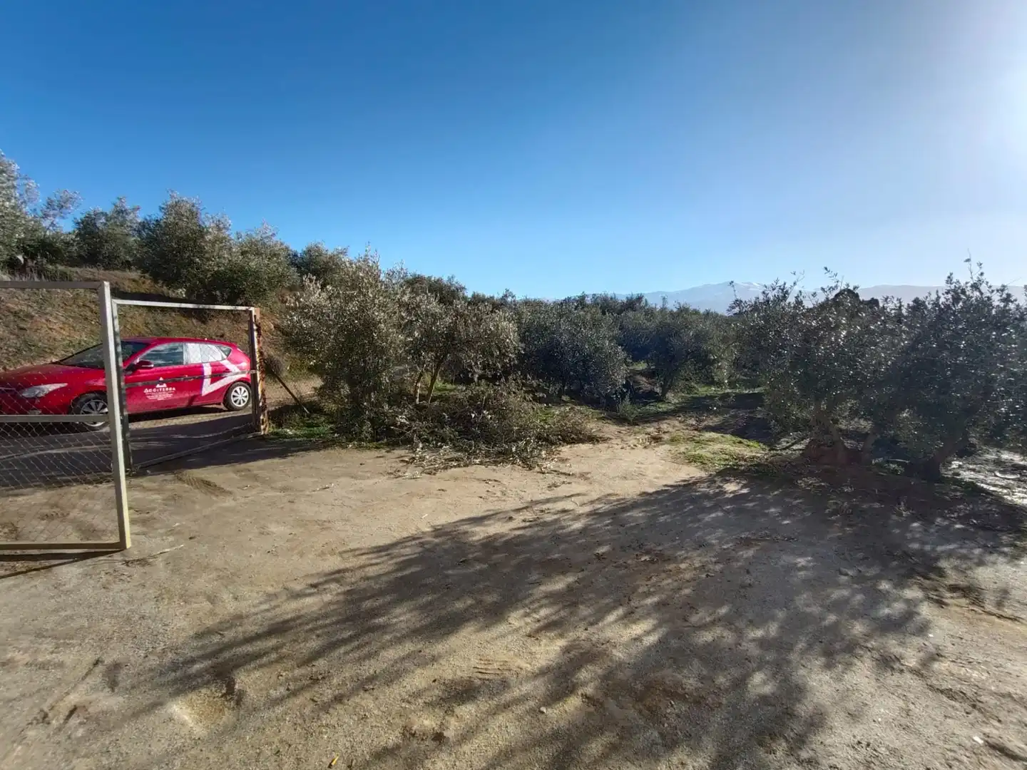 Grundstücke zum Verkauf in Camino San Torcuato, 34, Guadix
