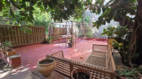 Foto 3 von Erdgeschoss zur Miete in El Terreno, Palma de Mallorca