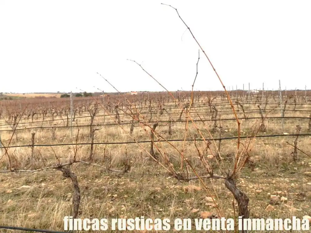 Terreni e lotti in vendita a Sonseca, imagen 7