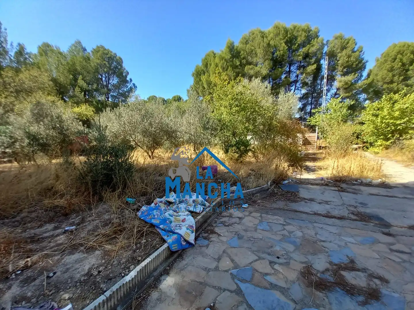 Finca rústica en venda en Albacete amb Jardí privat, Terrassa i Traster