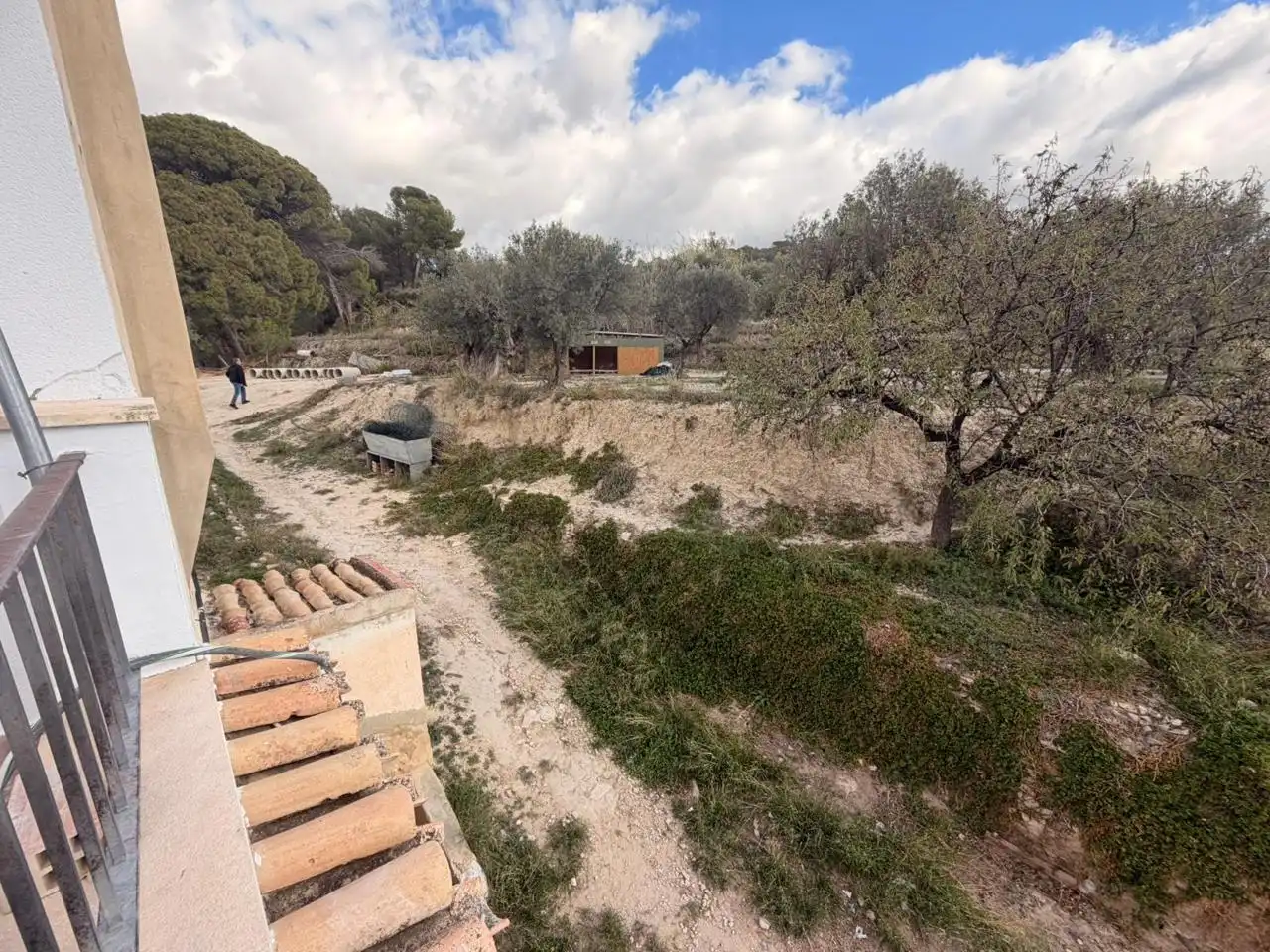 Finca rústica en venda a Partida de Nutxes, 1061, Jijona / Xixona