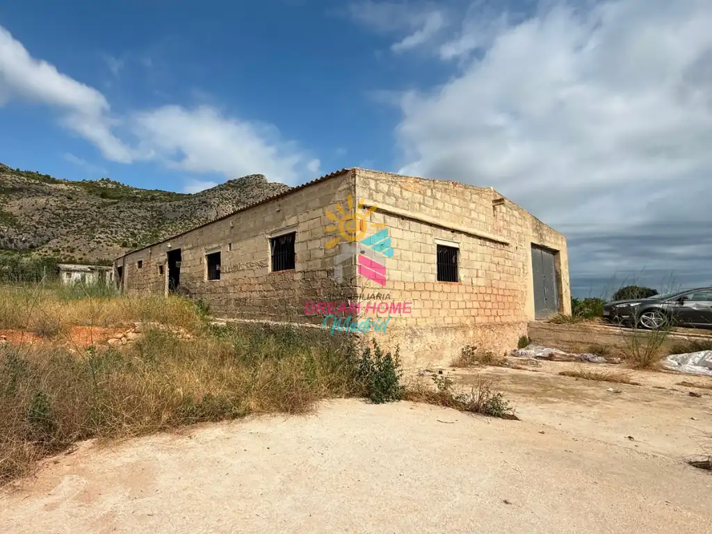Vista exterior de Finca rústica en venta en Alicante / Alacant