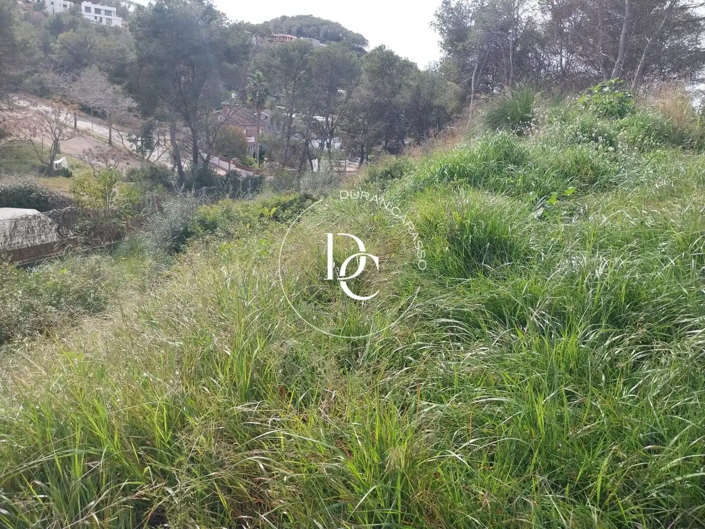 Terrenys i solars en venda a Carrer de l'Om, imagen 7