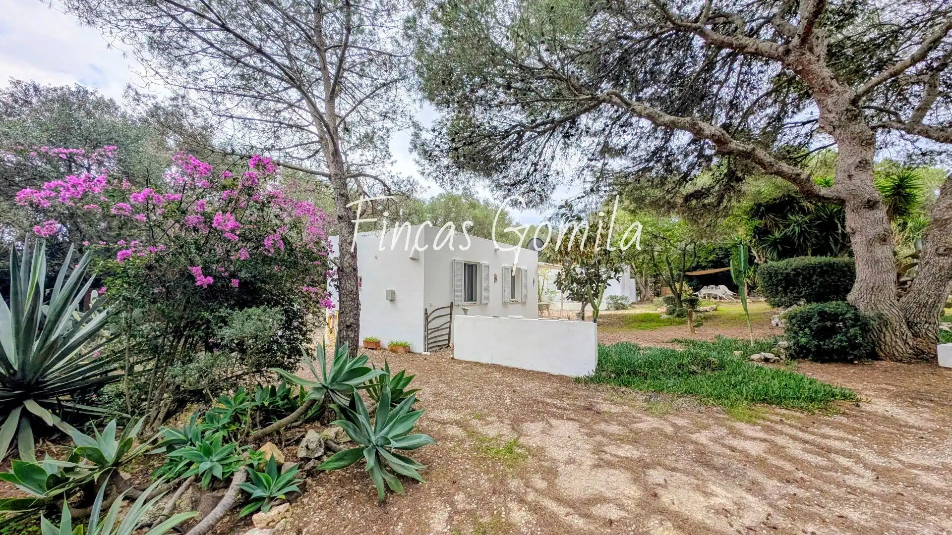 Casa con piscina in vendita a Sant Lluís - S'Ullestrar - Torret, imagen 34