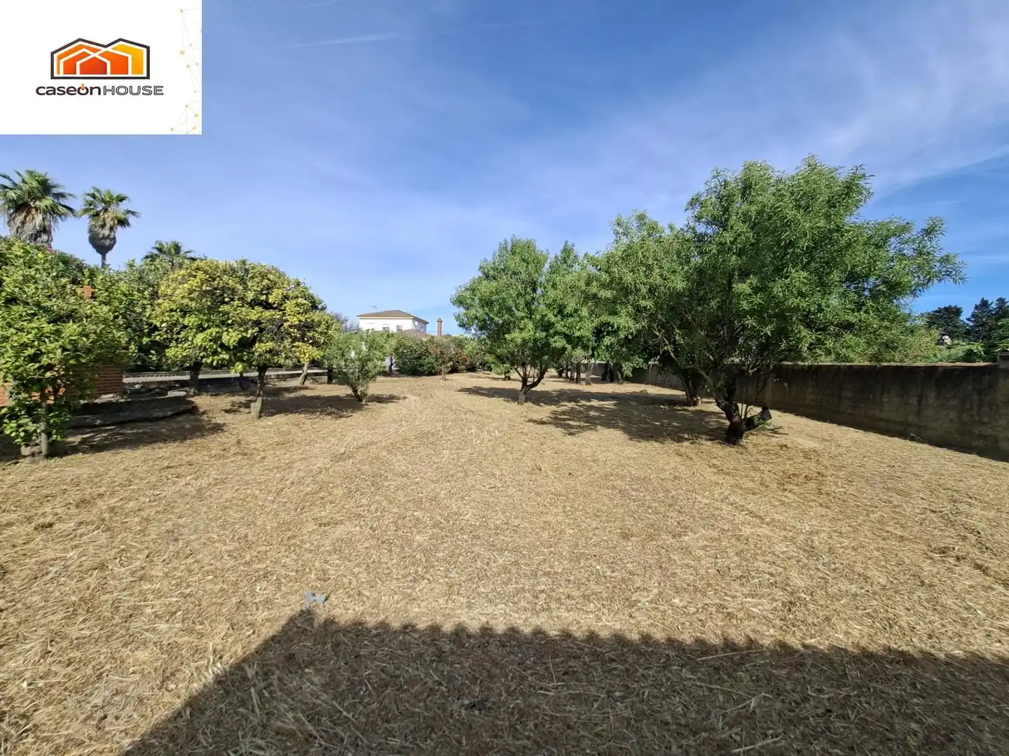 Casa o chalet en venta en Chiclana de la Frontera con Terraza y Piscina comunitaria