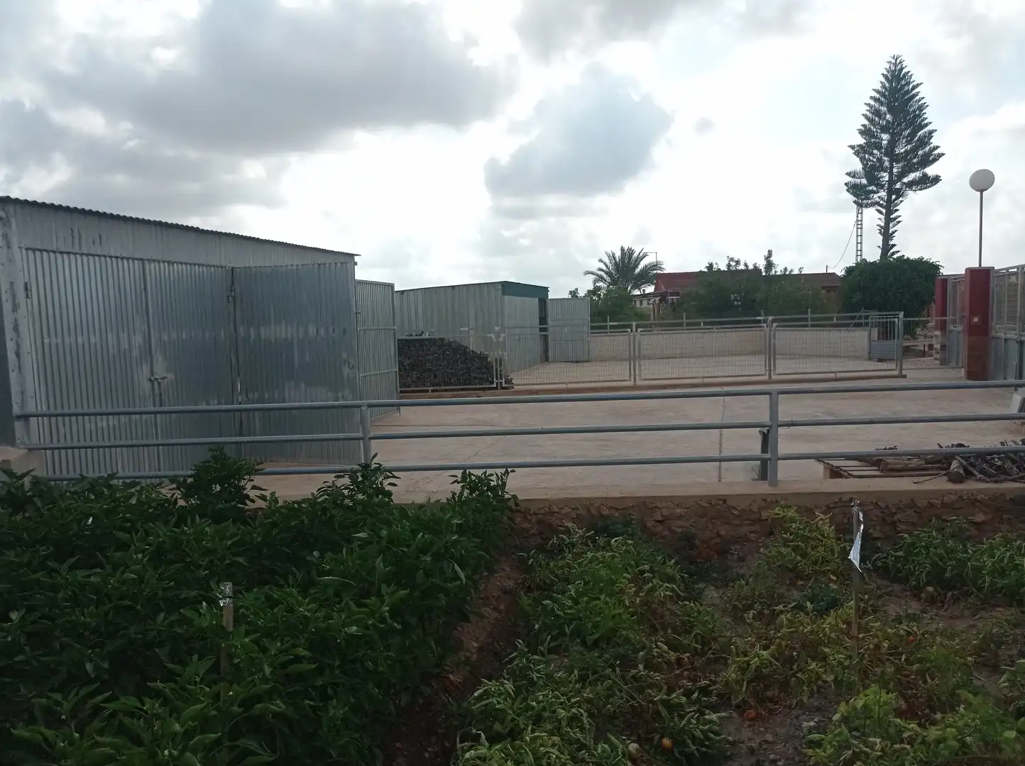 Finca rústica en venta en Fuente Álamo de Murcia con Calefacción, Jardín privado y Piscina