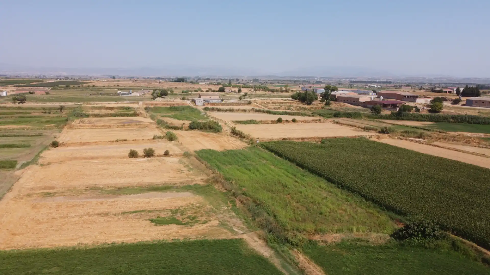 Land for sale in Linyola