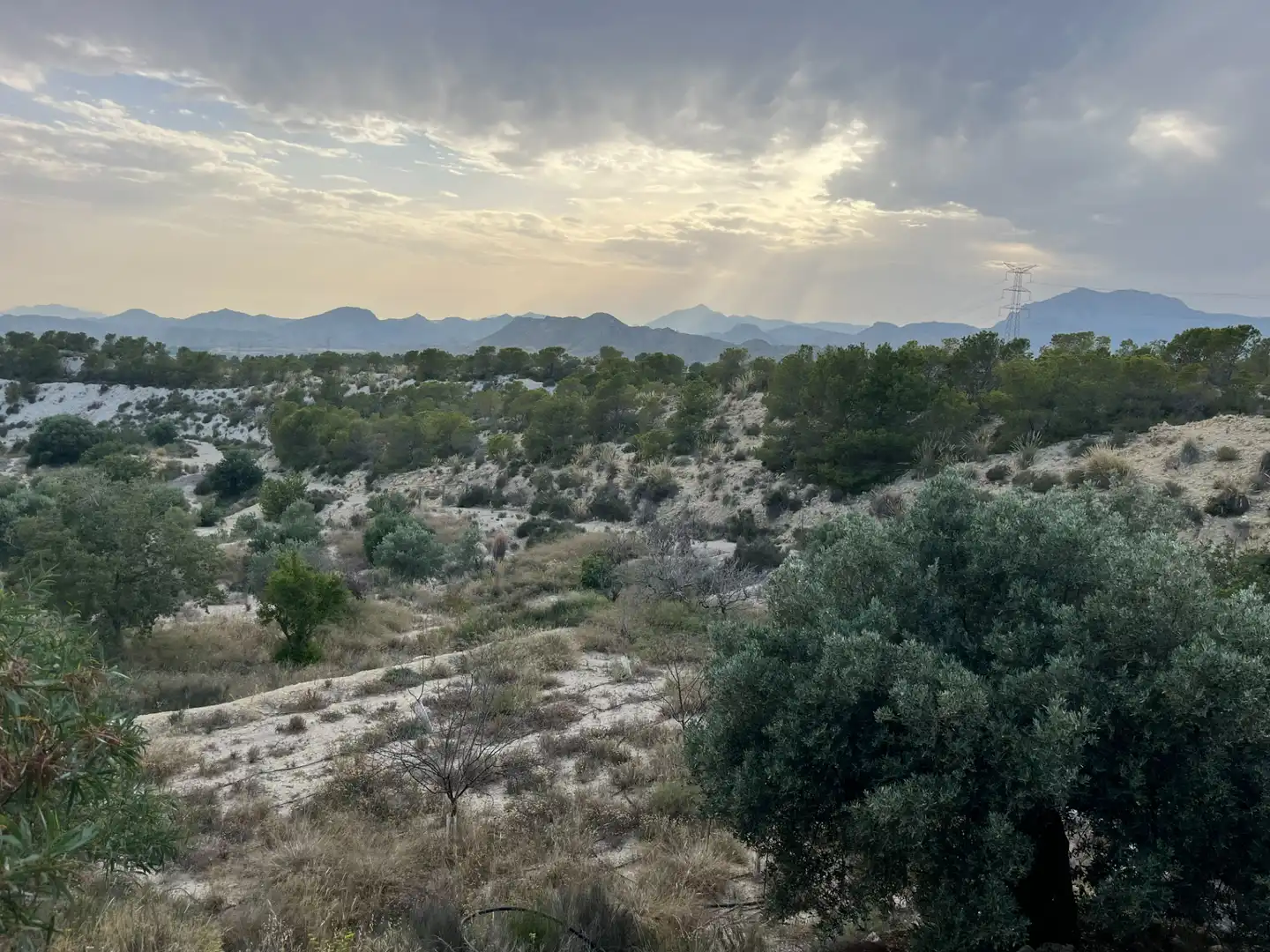 Finca rústica en venta en Busot