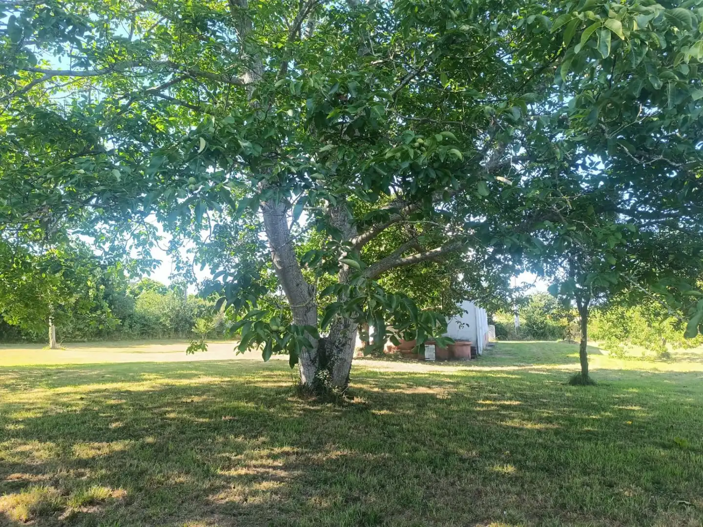 Casa en venda a A Malata - Catabois - Ciudad Jardín, imagen 36