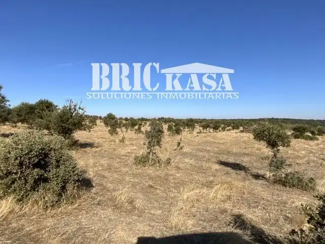 Grundstücke und Bauplätze zum Verkauf in Arroyo de la Luz, imagen 9