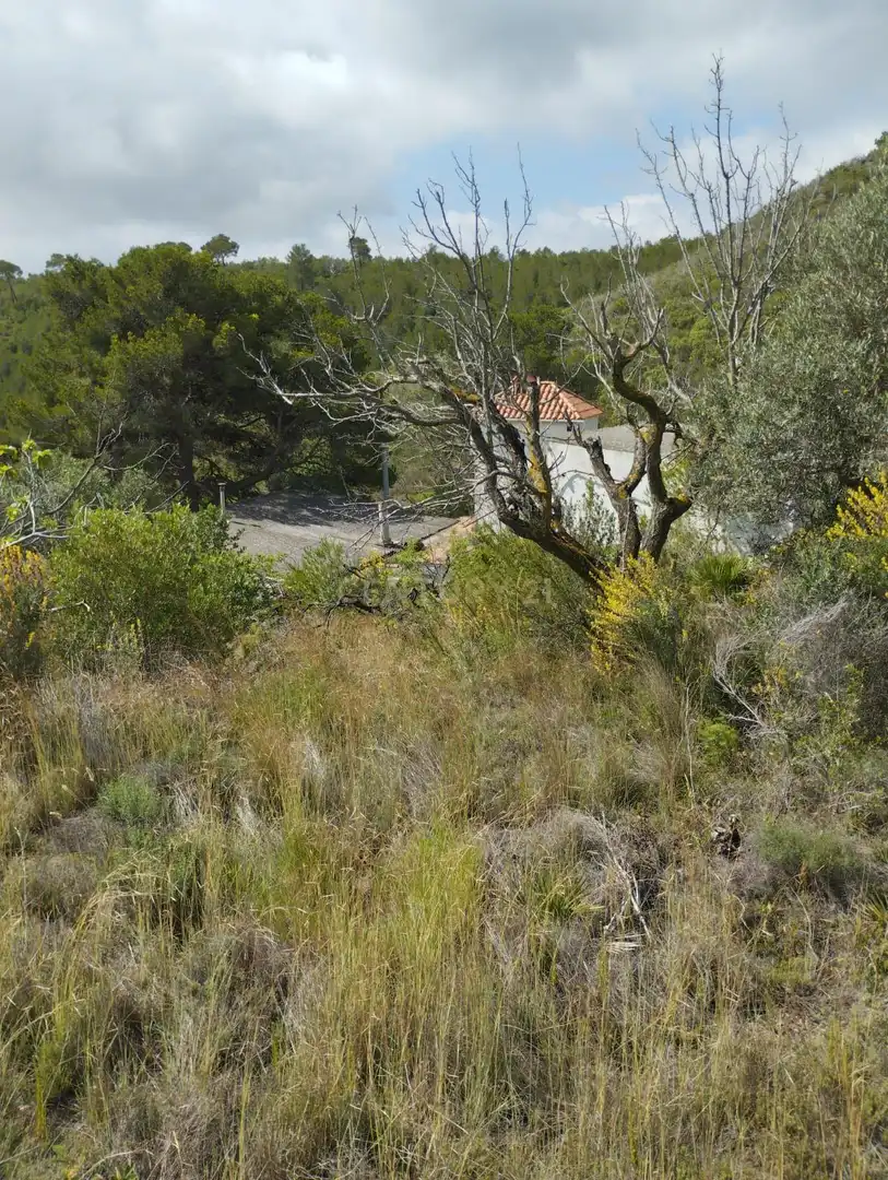 Casa o xalet en venda en El Montmell