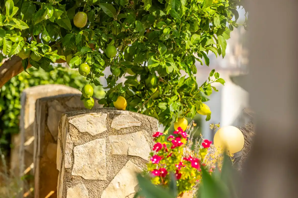 Detached house with pool for sale in El Montgó, imagen 8