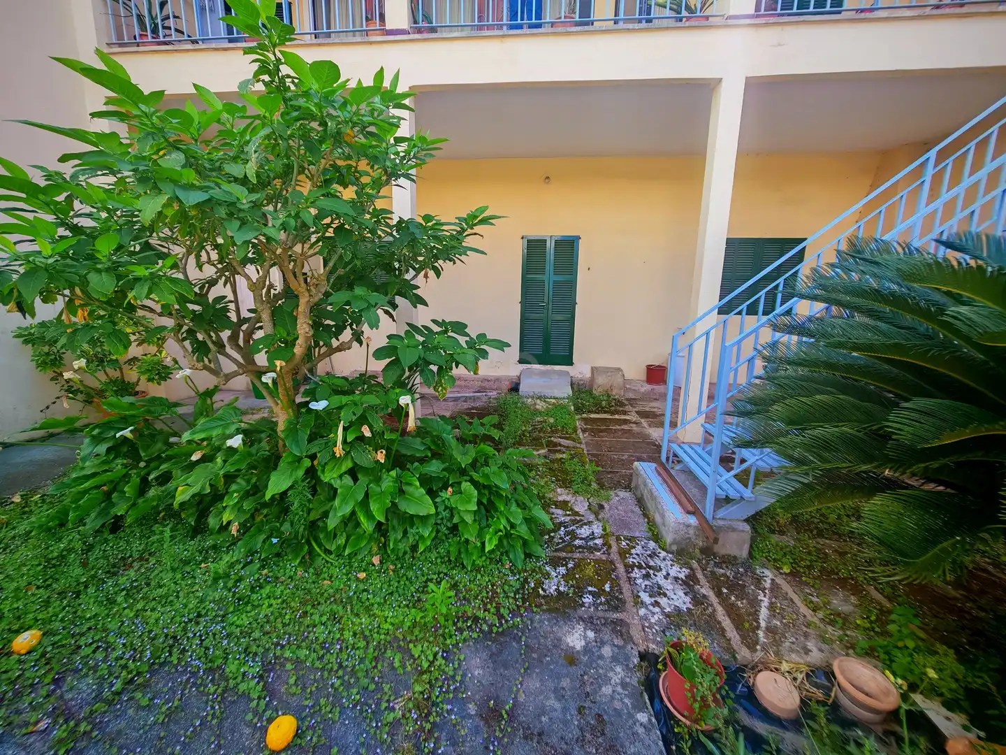 Vista exterior de Casa o xalet en venda en Alcúdia amb Aire condicionat i Terrassa