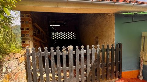 Foto 4 de Finca rústica en venta en Grado, Asturias