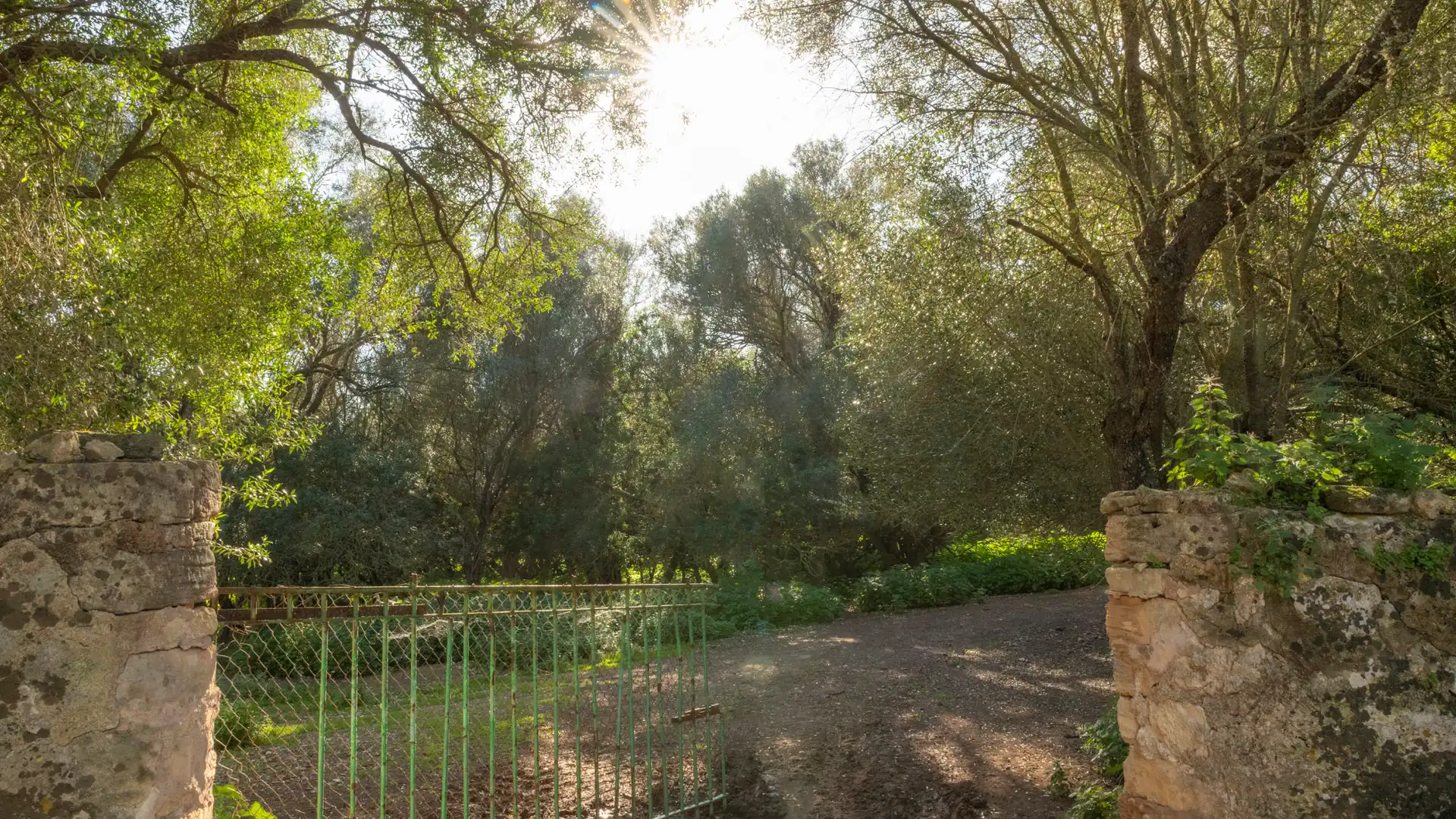 Jardín de Finca rústica en venta en Vilafranca de Bonany con Terraza, Trastero y Balcón