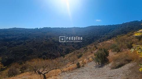 Foto 5 de Residencial en venda a R2, Olías, Málaga