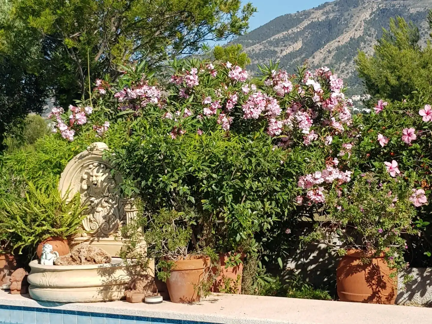 House with pool for sale in Carrer Capricorn 12, imagen 30