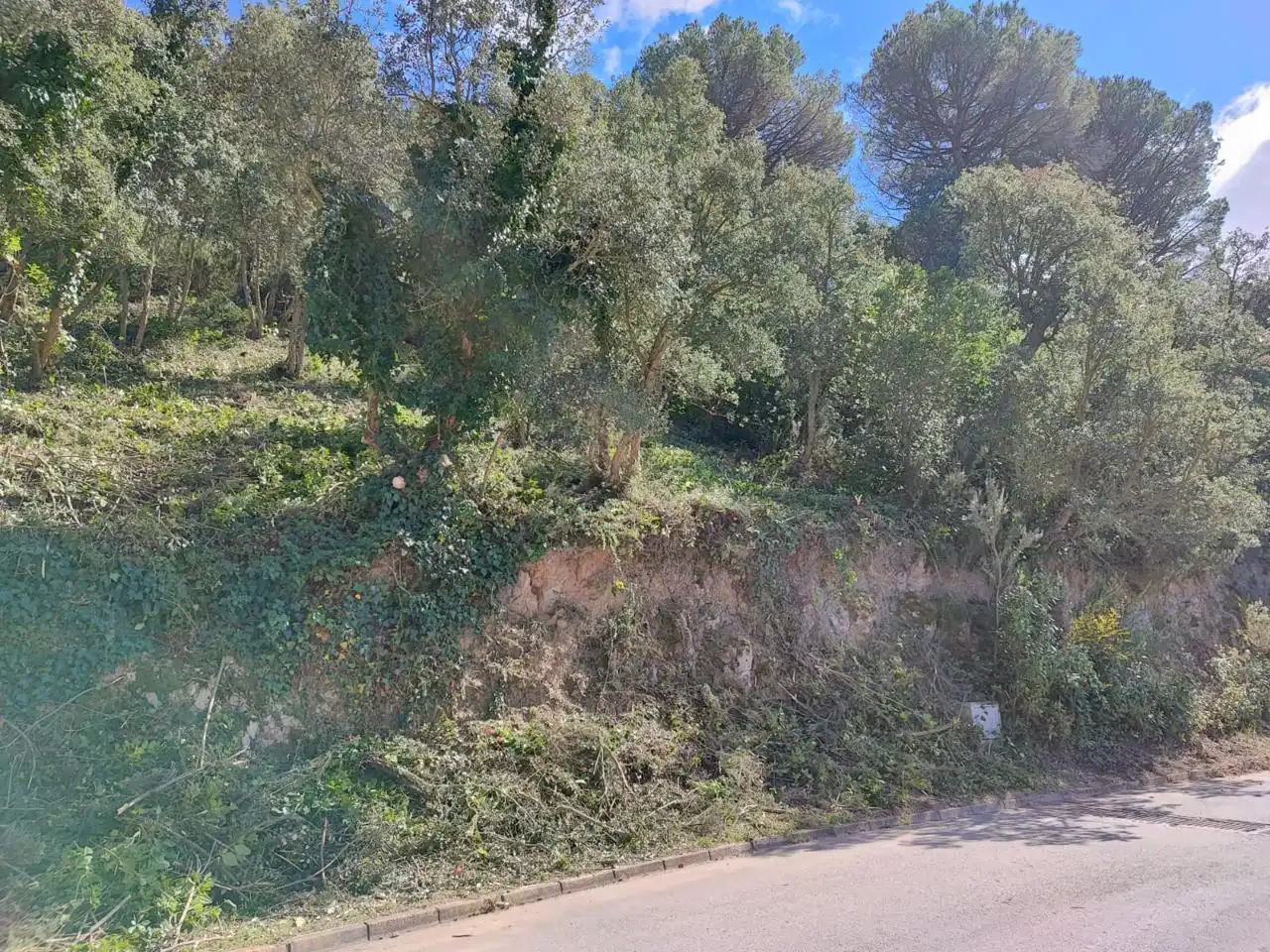 Grundstücke und Bauplätze zum Verkauf in Carrer Pollancre, imagen 4