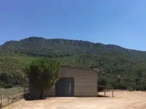 Vista exterior de Nau industrial en venda en La Riba