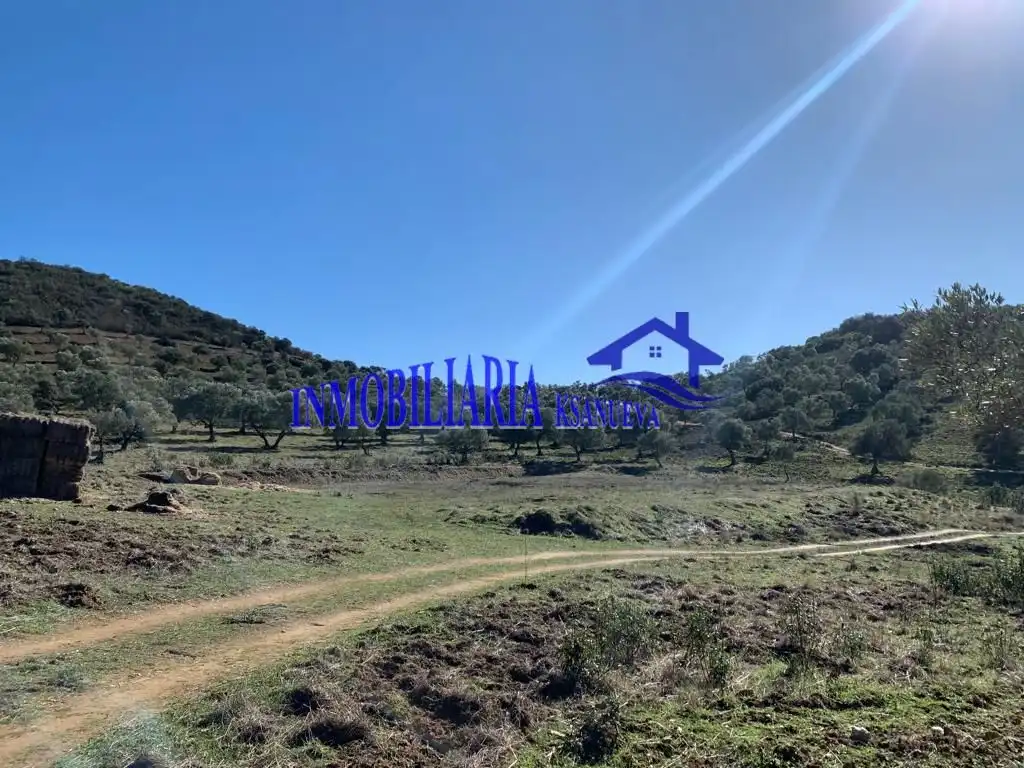 Finca rústica en venta en Fuente Obejuna con Trastero