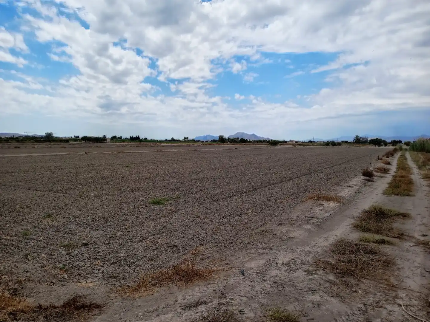 Terreno industrial en venta en Formentera del Segura
