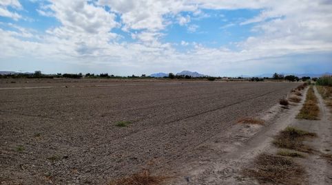 Foto 4 de Terreny industrial en venda a Formentera del Segura, Alicante