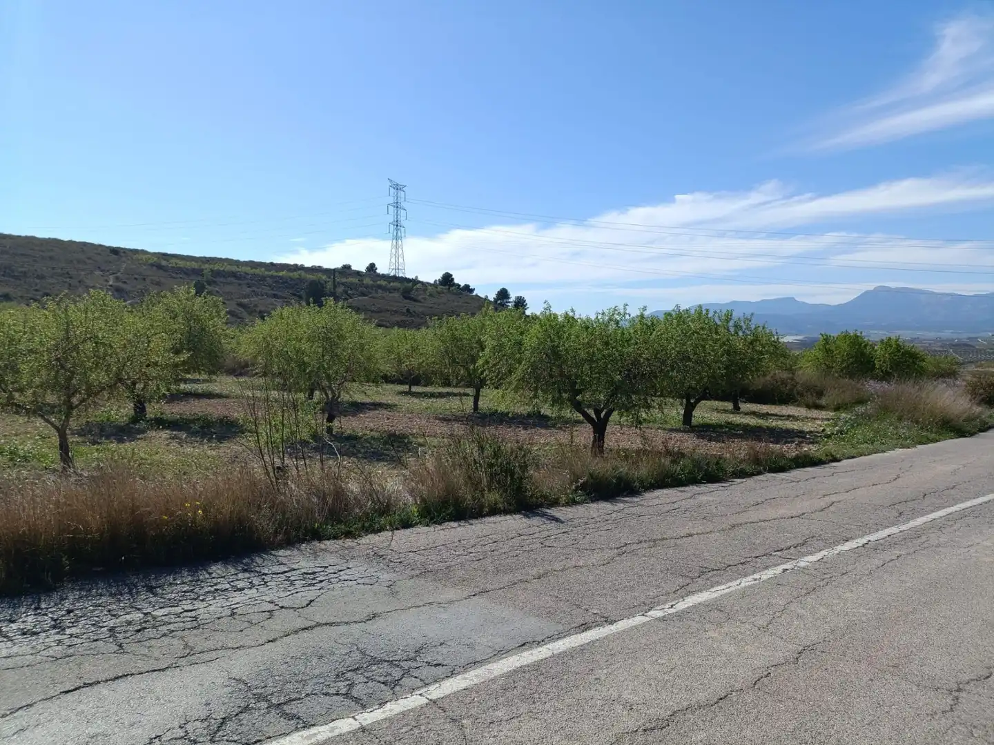 Terreny rústic en venda a Pedanías Oeste, imagen 6