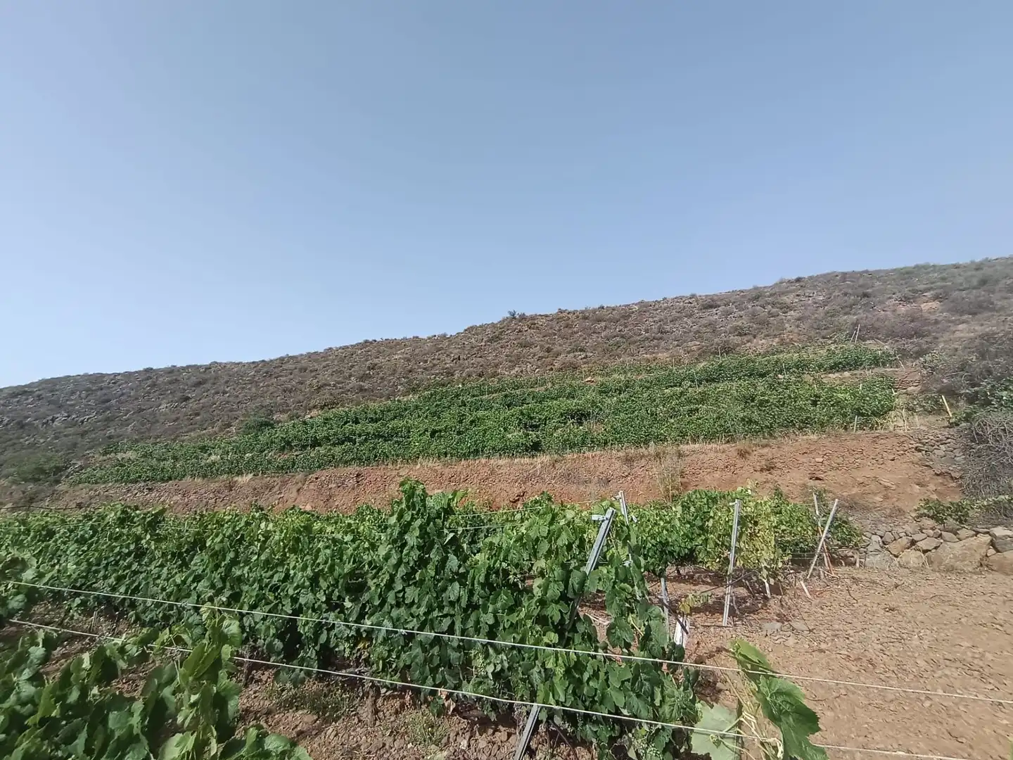Terreno rustico in vendita a Arico, imagen 12