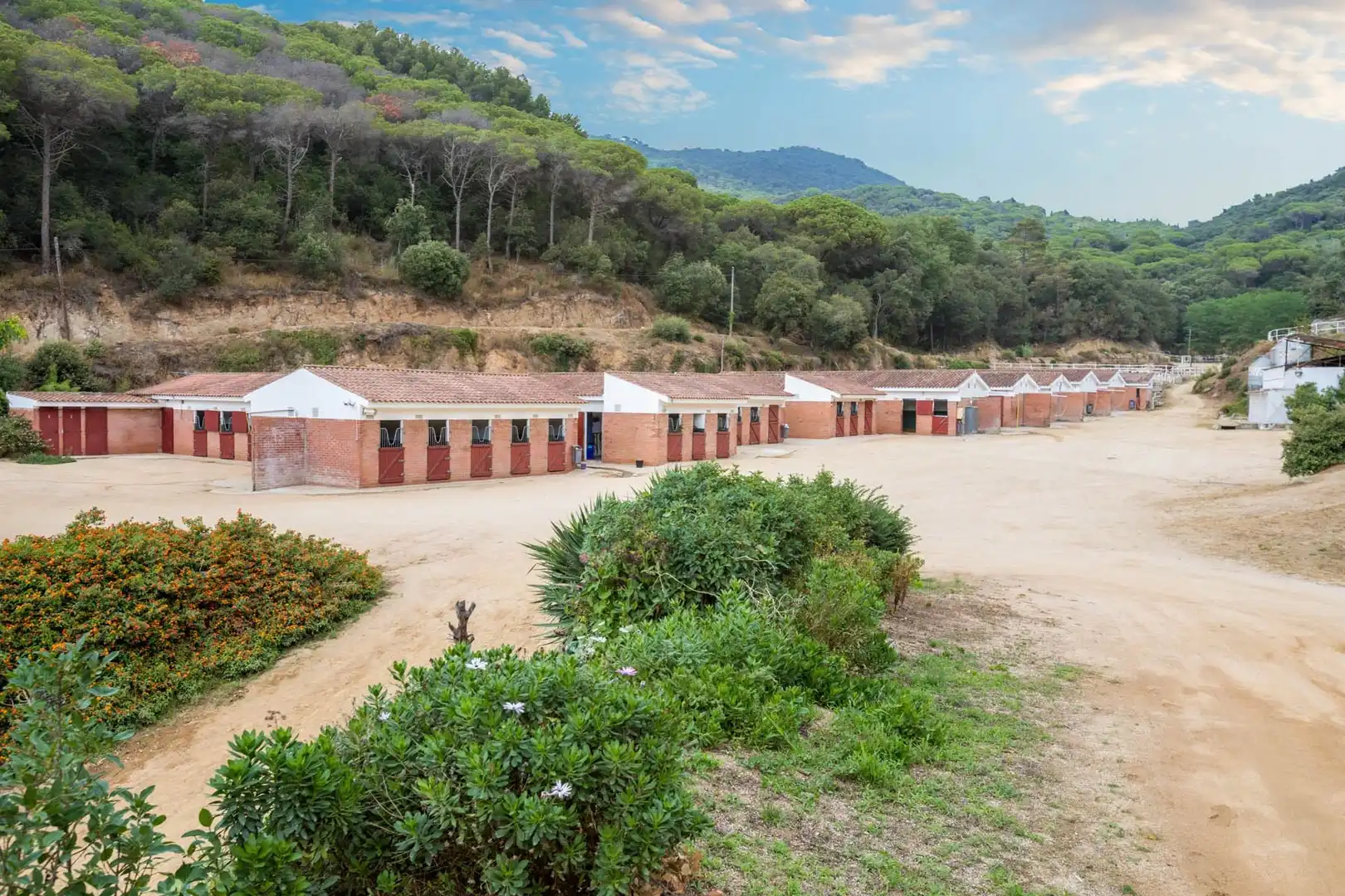 Vista exterior de Casa o chalet en venta en Sant Andreu de Llavaneres con Aire acondicionado, Calefacción y Jardín privado