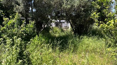 Foto 5 de Terreno en venta en Centre, Sant Joan Despí
