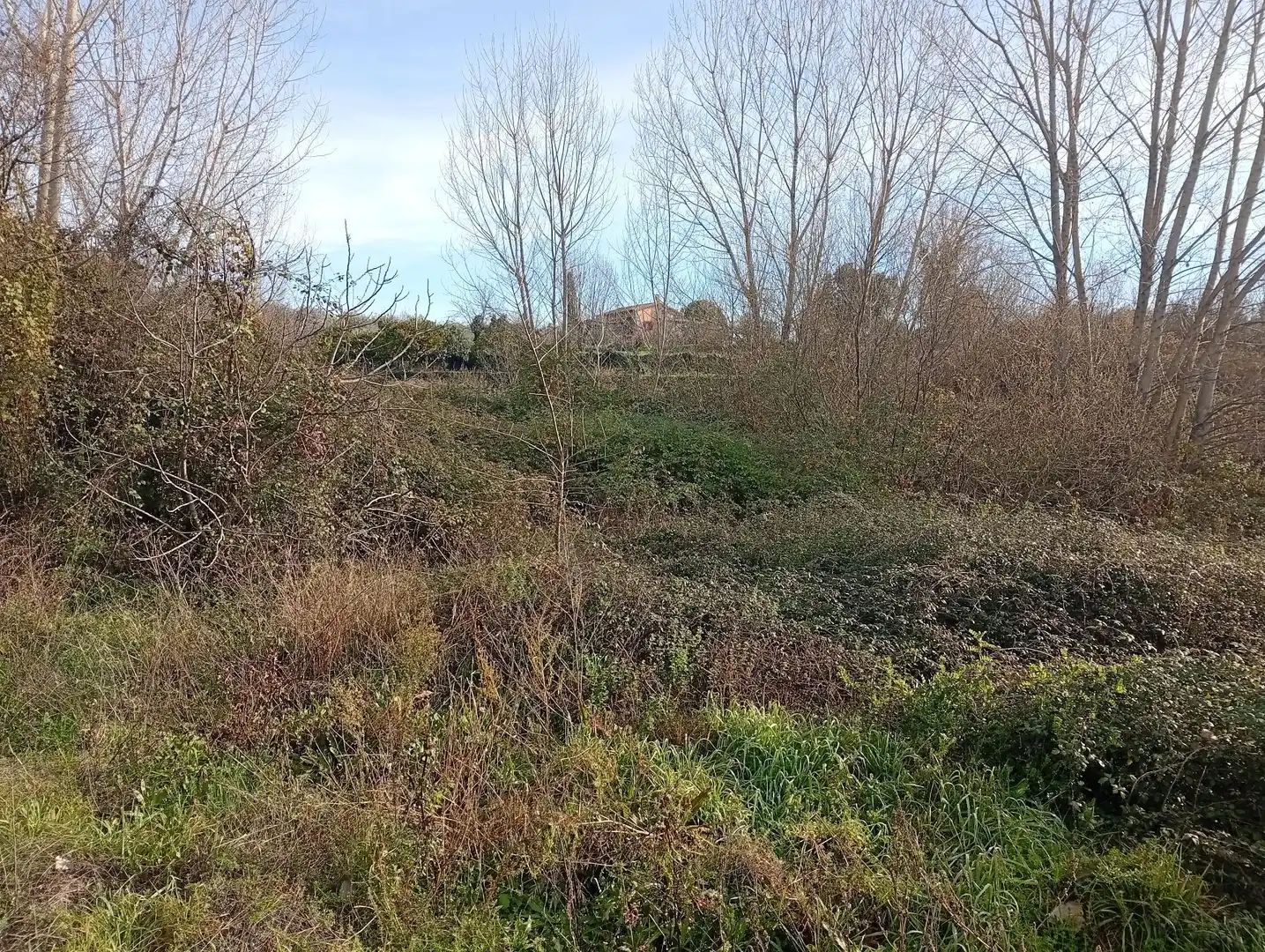 Terreni e lotti in vendita a Valverde de la Vera, imagen 14