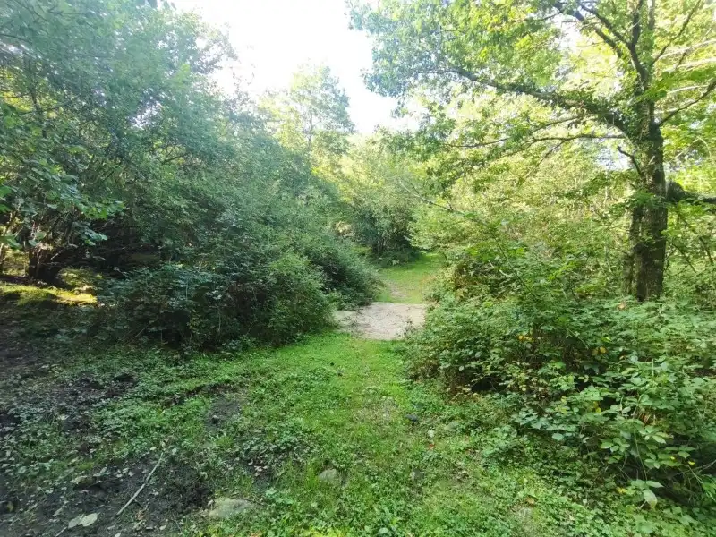 Villa avec jardin à vendre à Rionansa, imagen 9