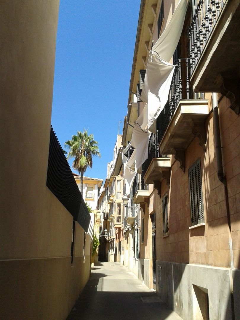 Vista exterior de Dúplex en venda en  Palma de Mallorca amb Balcó