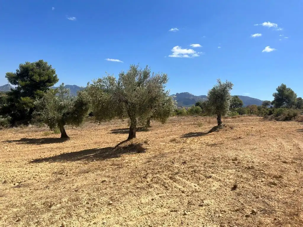 Terreni e lotti in vendita a Cretas, imagen 8