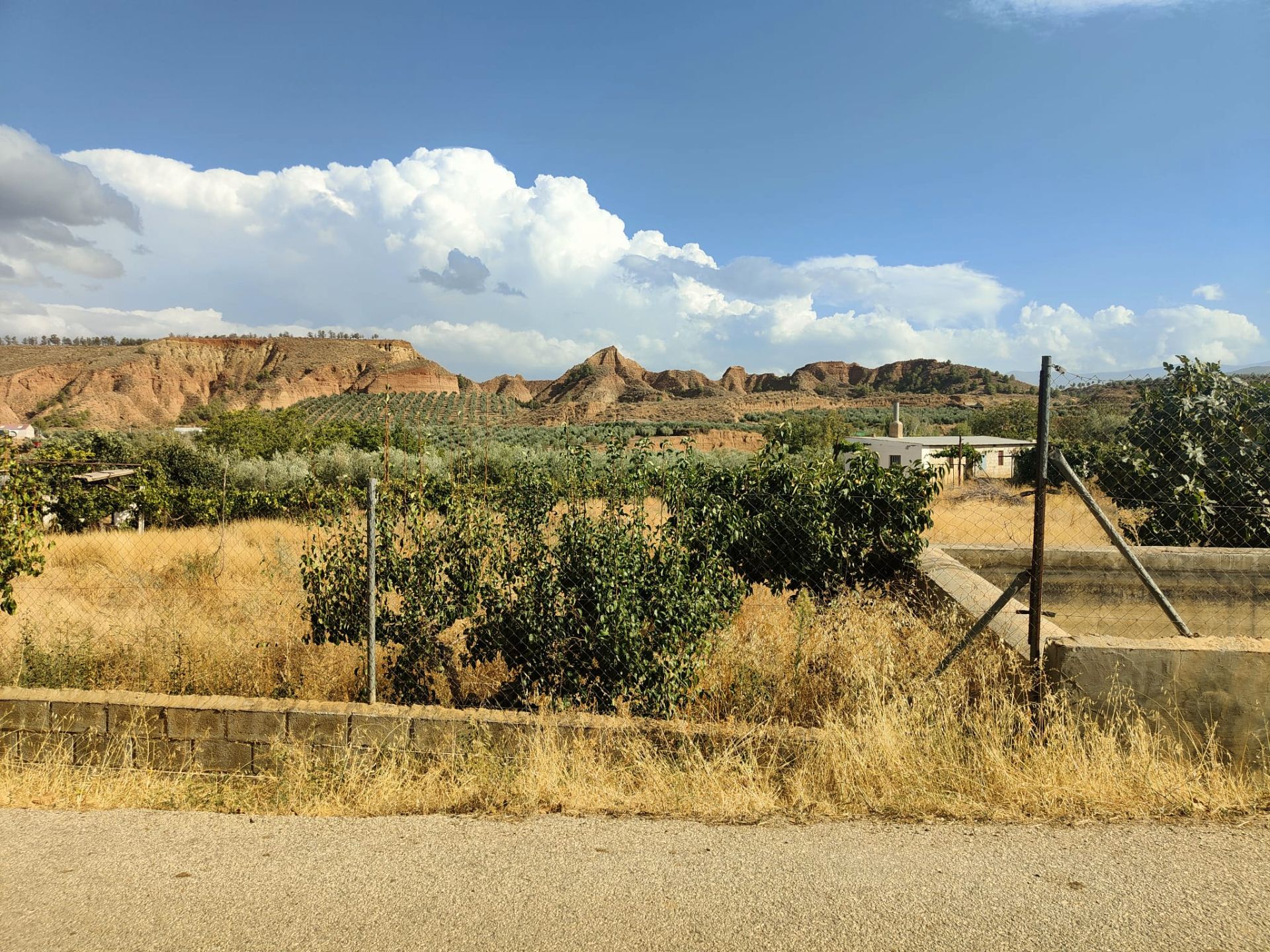 Finca rústica en venda en Cortes y Graena amb Jardí privat, Terrassa i Piscina