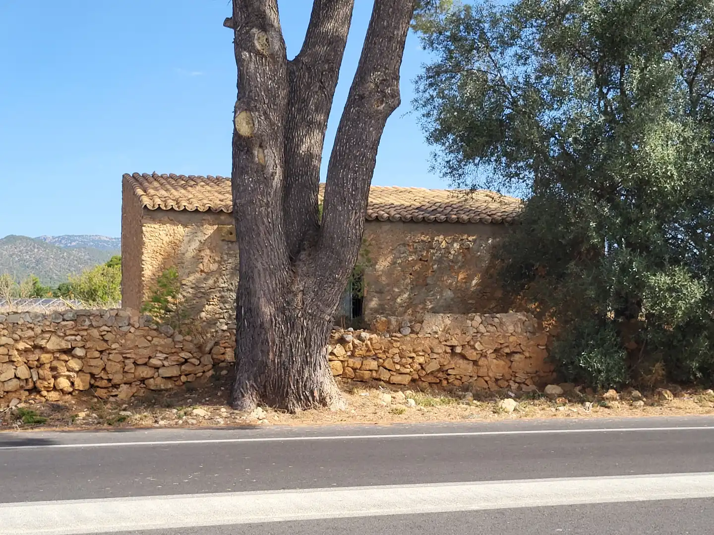 Terrain rustique à vendre à Polígono 2 Parcela 1, imagen 9