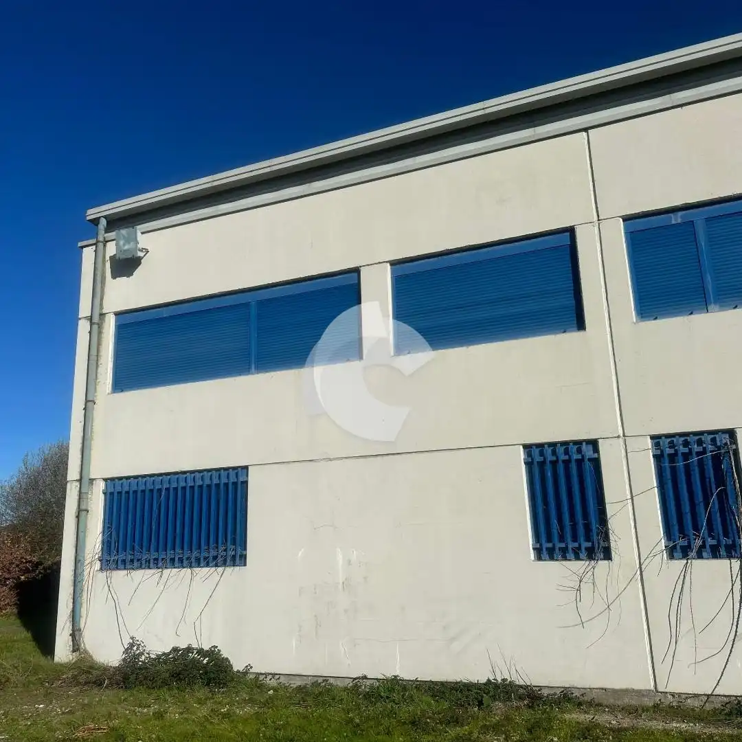Exterior view of Industrial buildings for sale in Cortegada