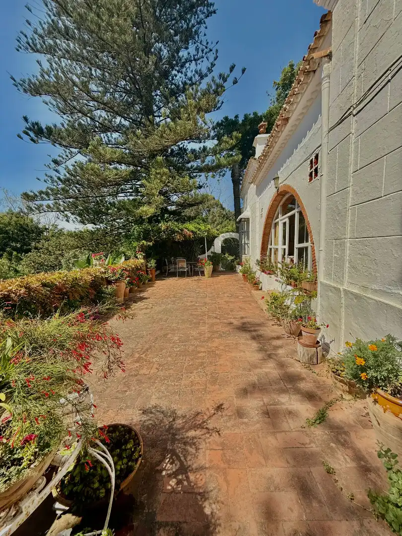 Jardín de Casa o chalet en venta en Algeciras con Jardín privado, Terraza y Piscina