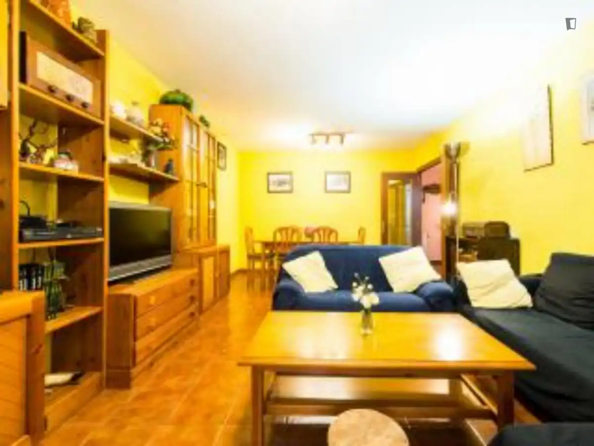 Living room of Apartments for rent in Madrid  with Air Conditioner, Heating and Furnished