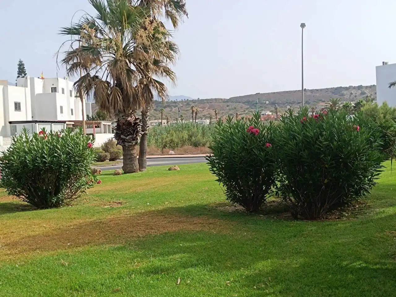 Garden of Residential for sale in El Ejido