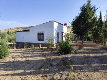 Terreno rustico in vendita a Fuente del Maestre
