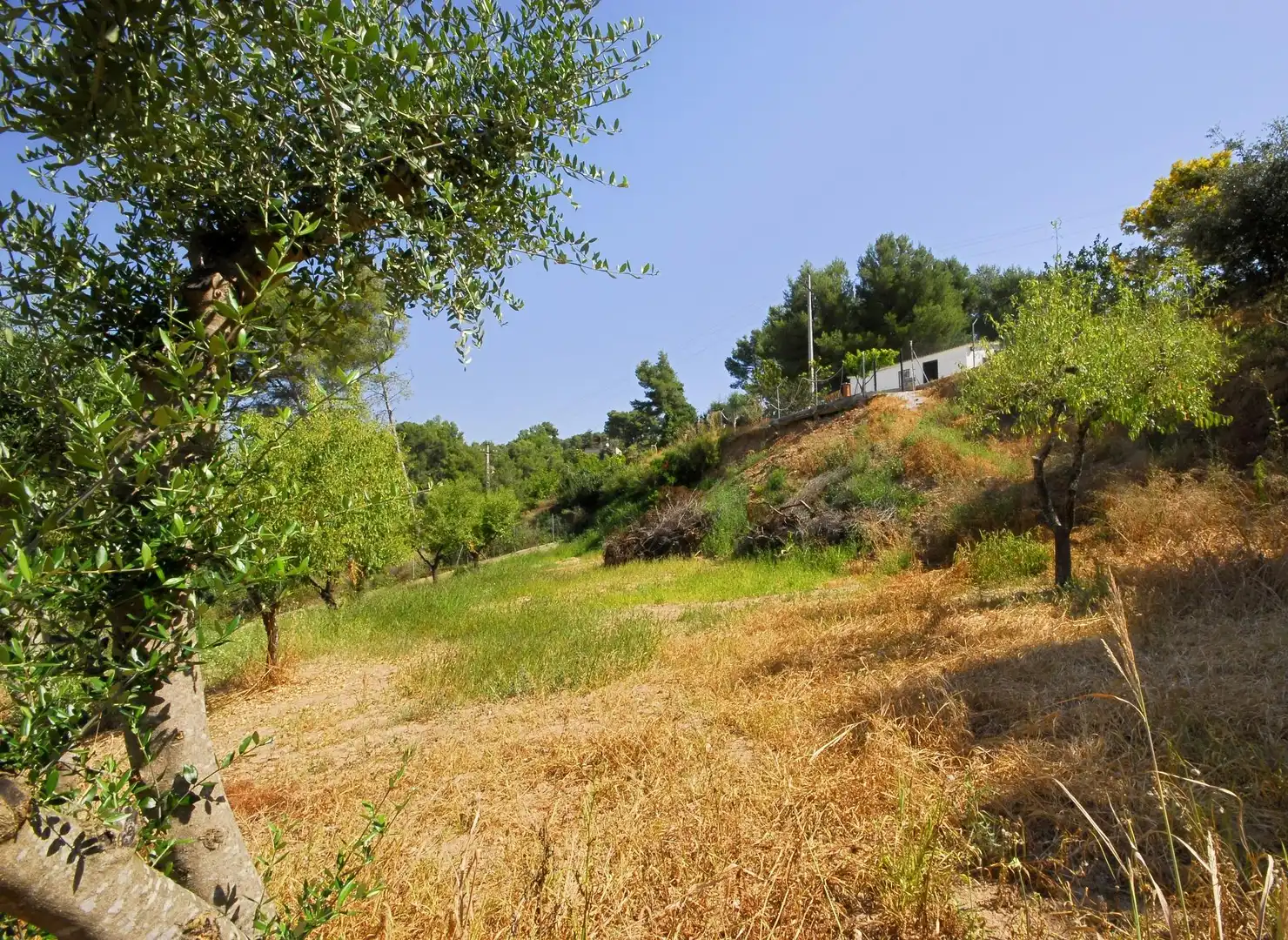 Terreno residencial en venta en Cabrera d'Anoia, imagen 9