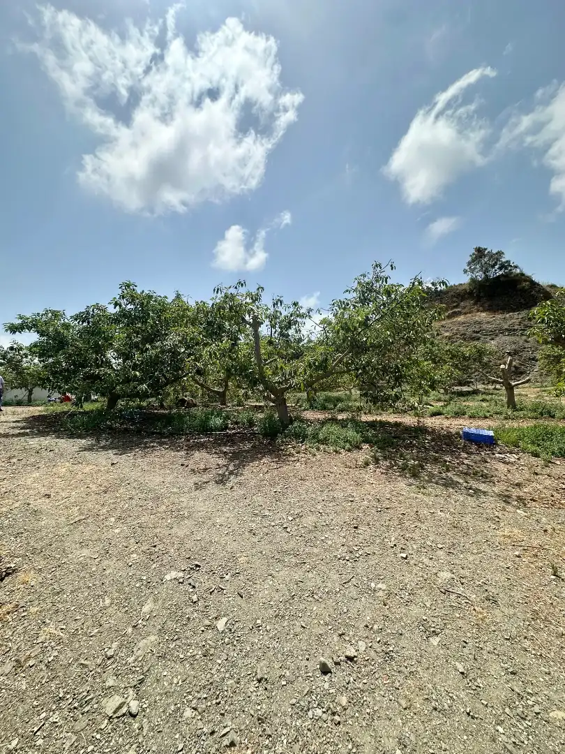 Country homes for sale in Benamocarra  with Private garden, Storage room and Swimming Pool