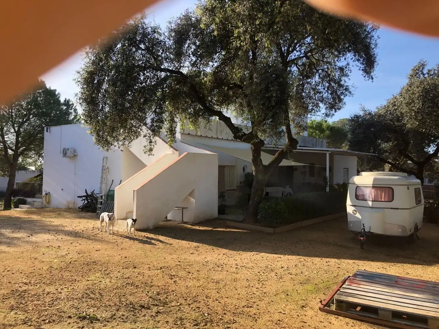 Casa amb piscina en venda a Guillena pueblo, imagen 24