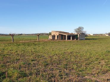 Terreno residencial en venta en Petra
