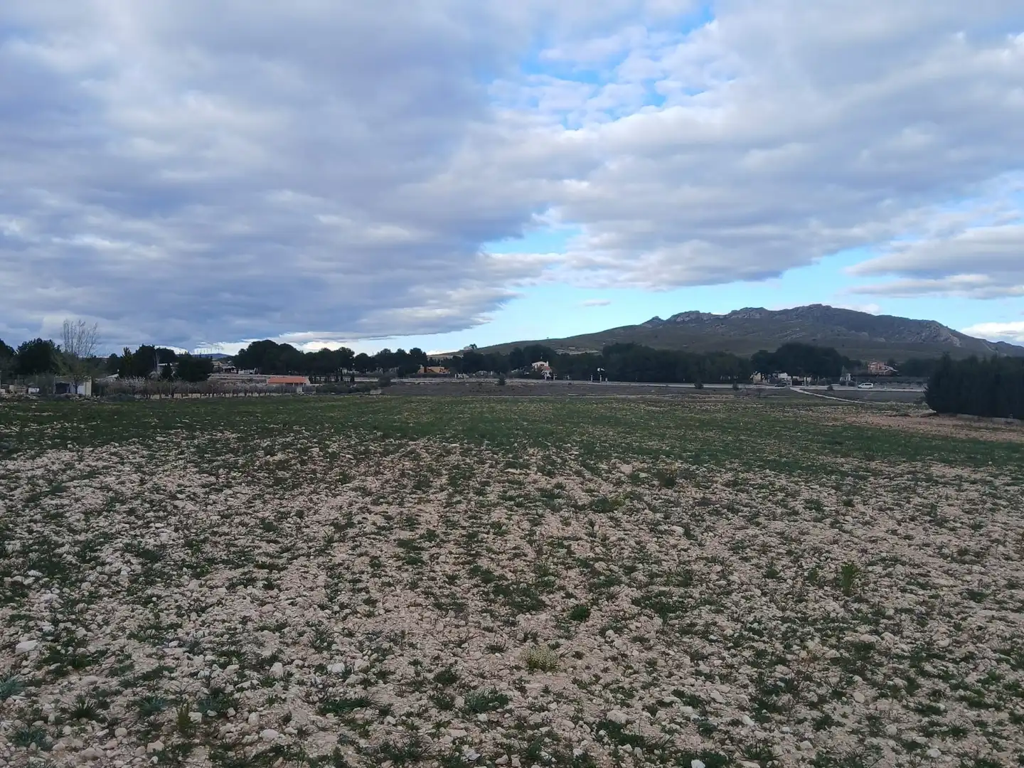 Residential land for sale in Yecla, imagen 2