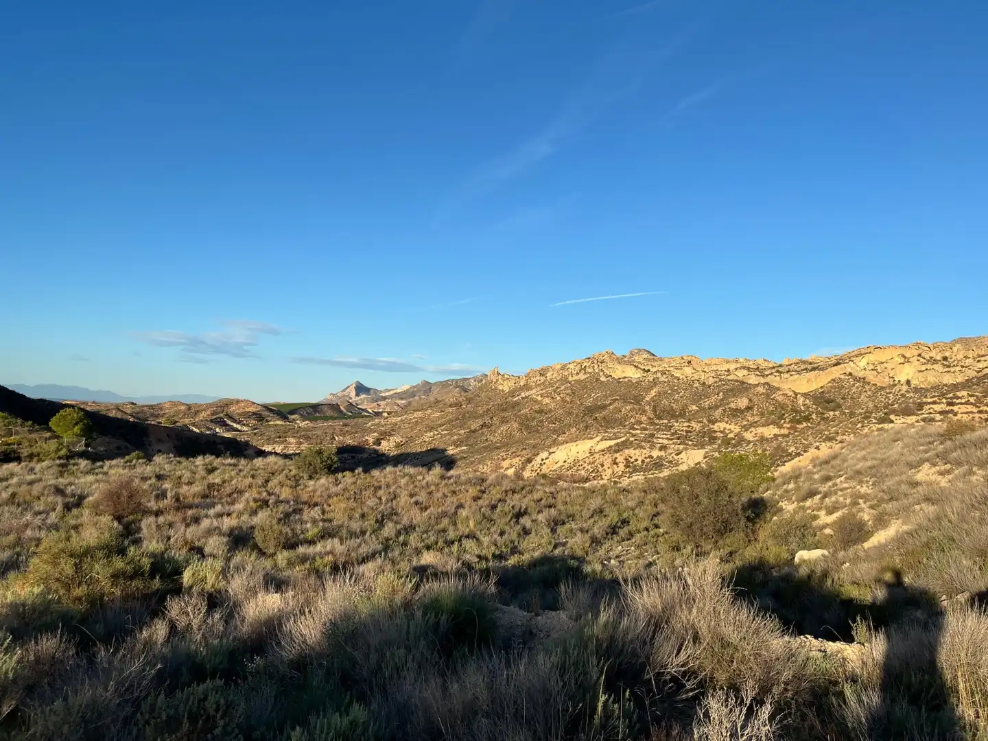 Vista exterior de Casa o xalet en venda en Albatera amb Aire condicionat, Calefacció i Jardí privat