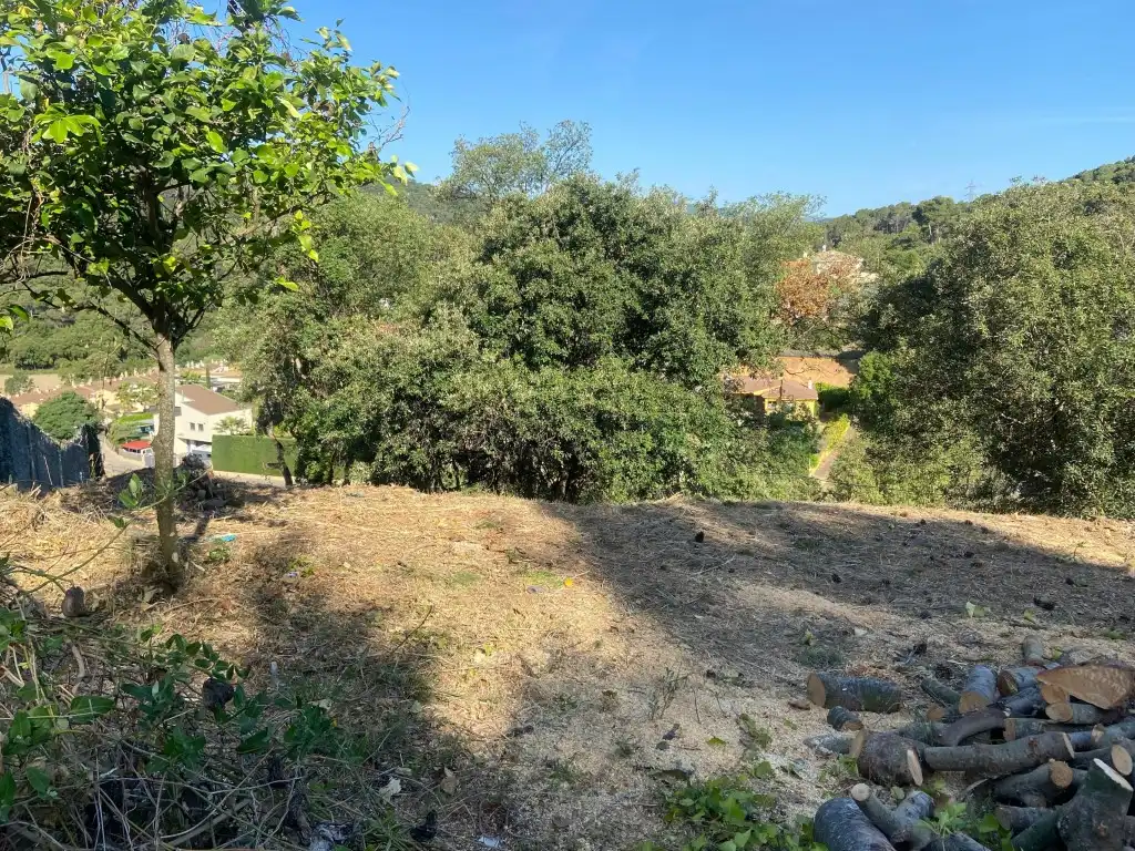 Residential land for sale in Calle Ginesta, imagen 3
