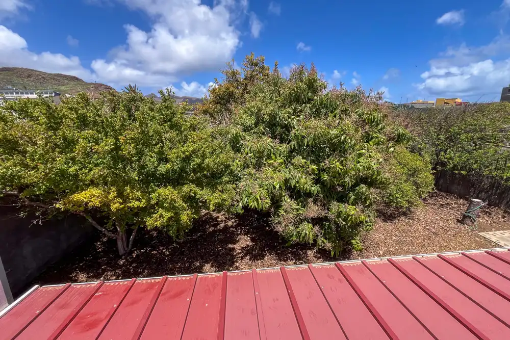 Casa o xalet en venda en San Sebastián de la Gomera amb Terrassa i Moblat