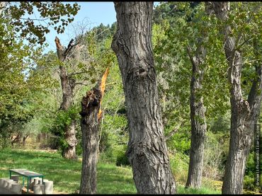 Terrenys i solars en venda a Borriol